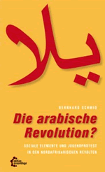 Bernhard Schmid: Die arabische Revolution?