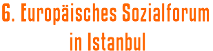 6. Europisches Sozialforum in Istanbul