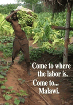 Come to where the labor is. Come to... Malawi